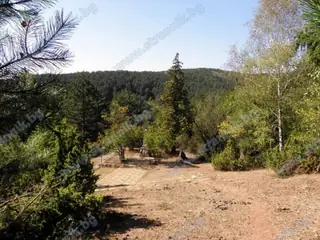 Паметник на Димитър Стефанов