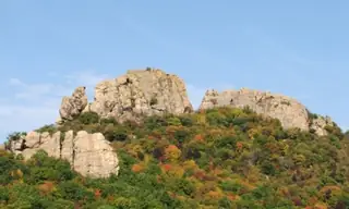 Куш Кая - Вълче поле