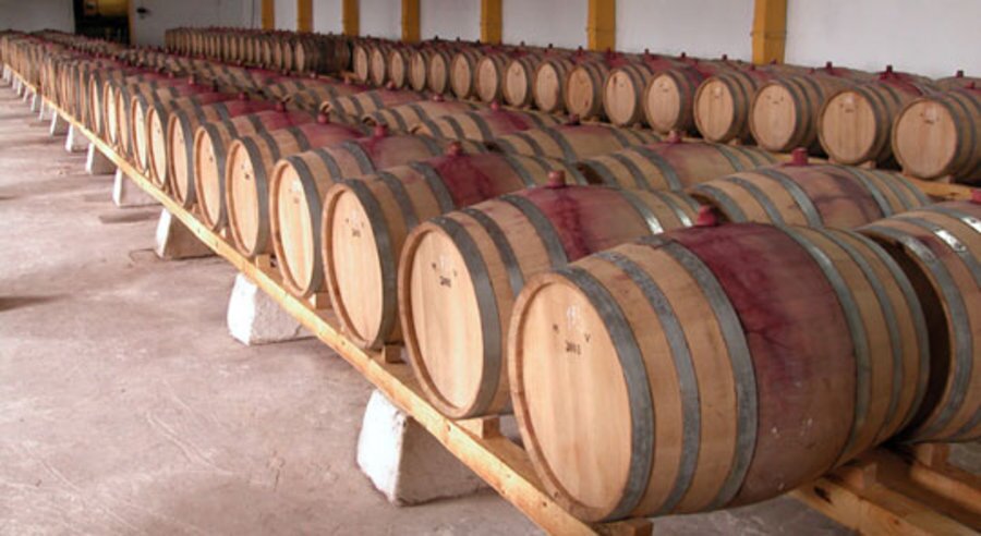 Винарска изба "Пълдин" - Перущица