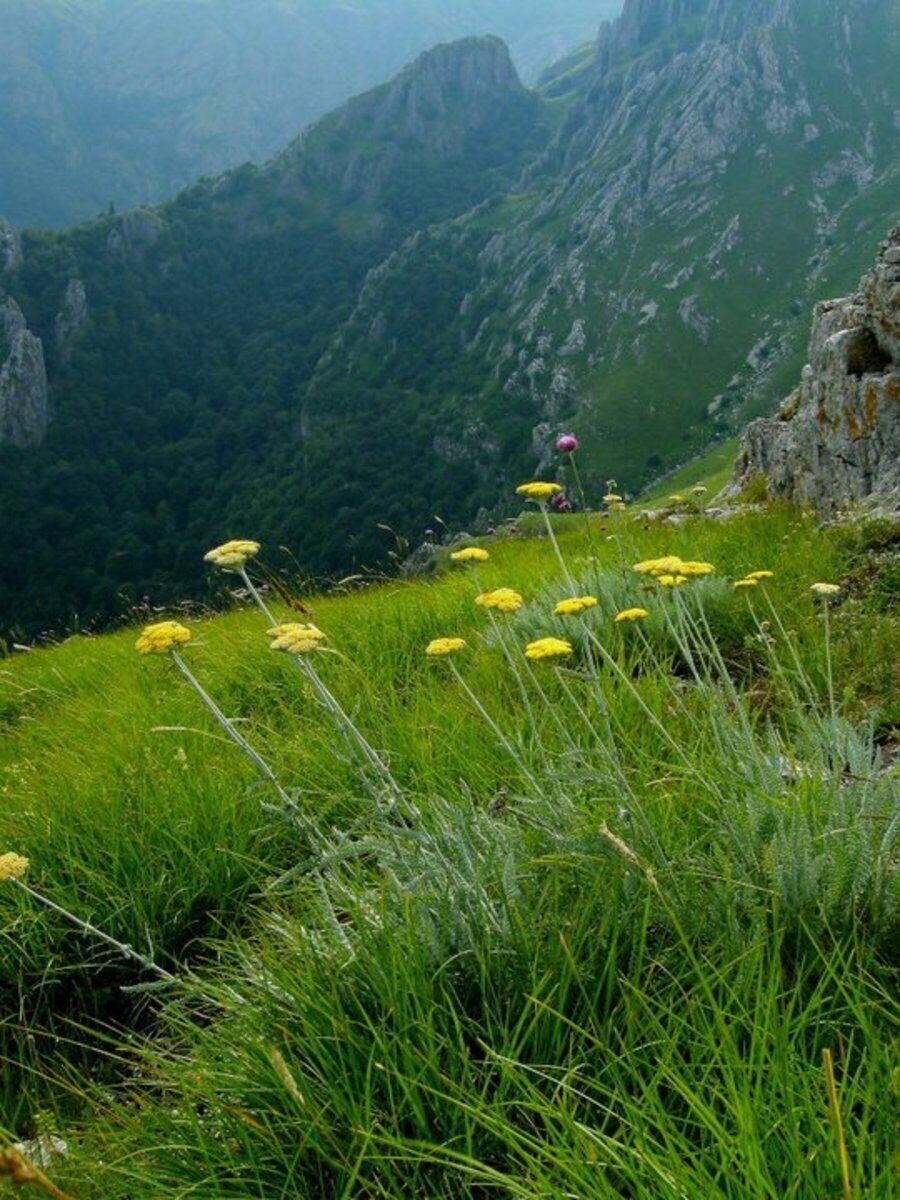 Маршрут "Хижа Хайдушка песен - връх Кучето - хижа Козя стена"