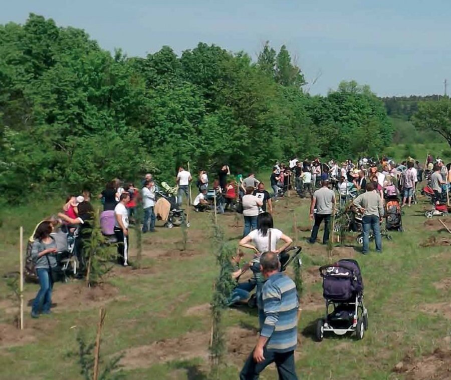 "Алея на новия живот" - Димитровград