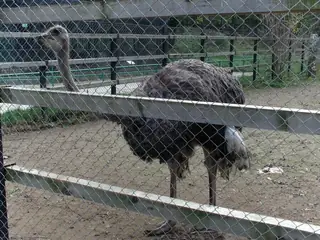 Зоопарк "Кайлъка" - Плевен