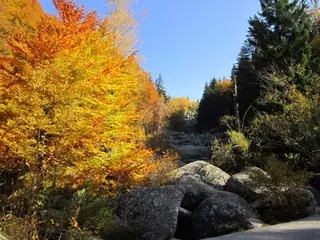 Среднопланинска обиколна пътека - парк "Витоша"