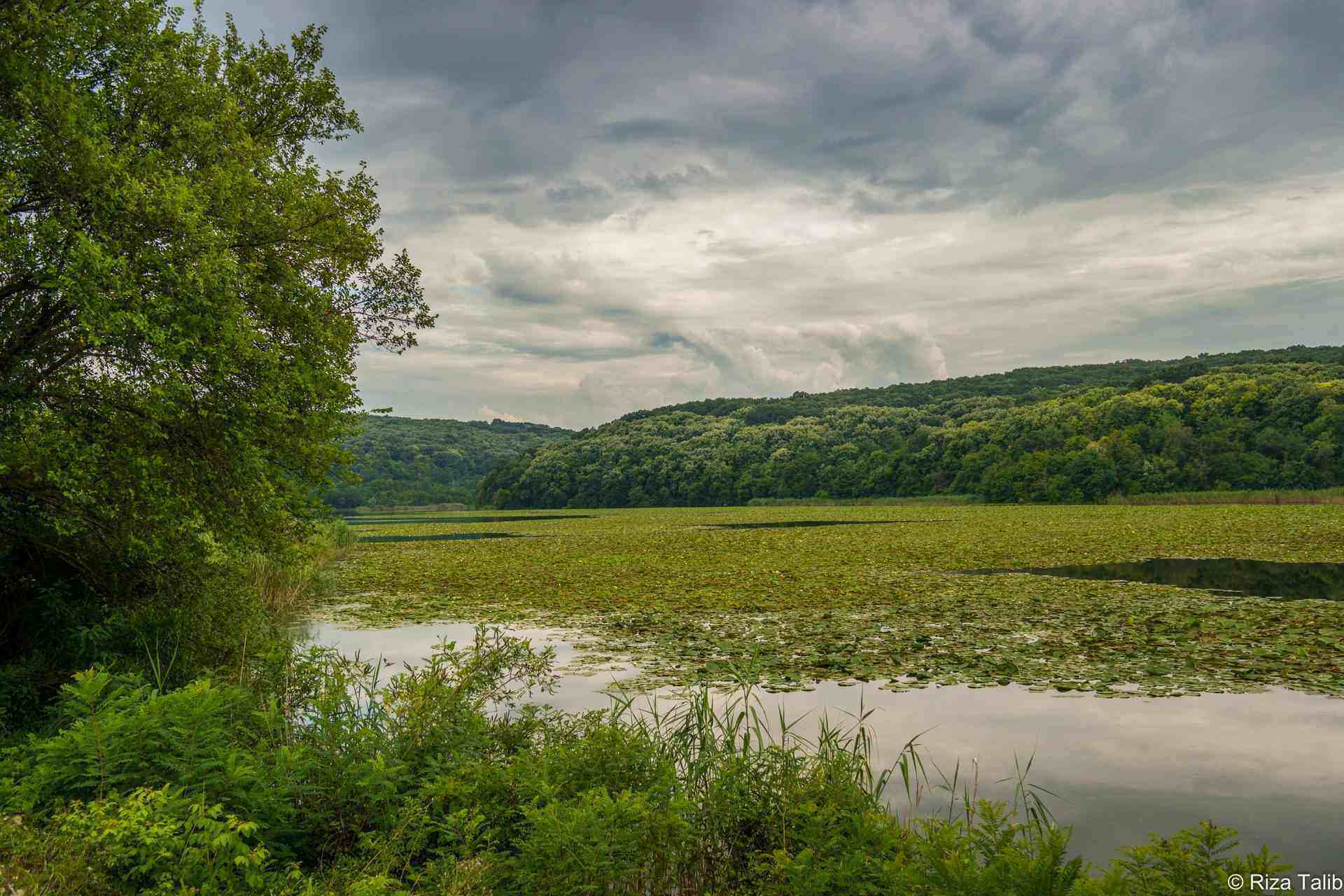 Малък Преславец