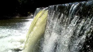 Лесопарк "Шаварна"