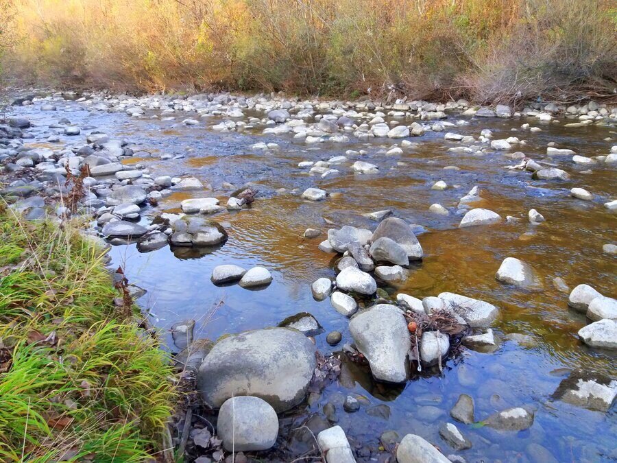 Река Черни Осъм