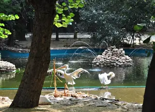 Зоопарк Варна