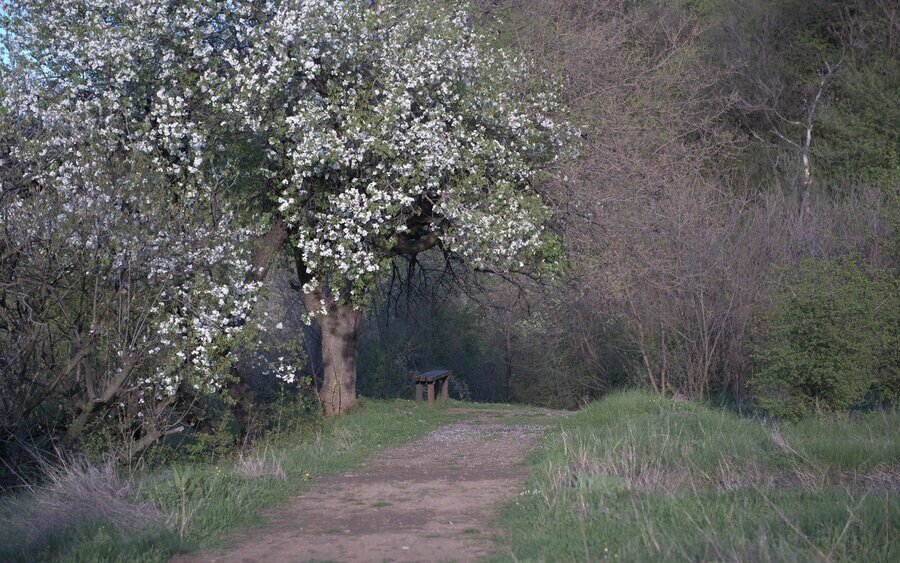 Екопътека "През очите на времето - история и природа" - Kрушуна — снимка