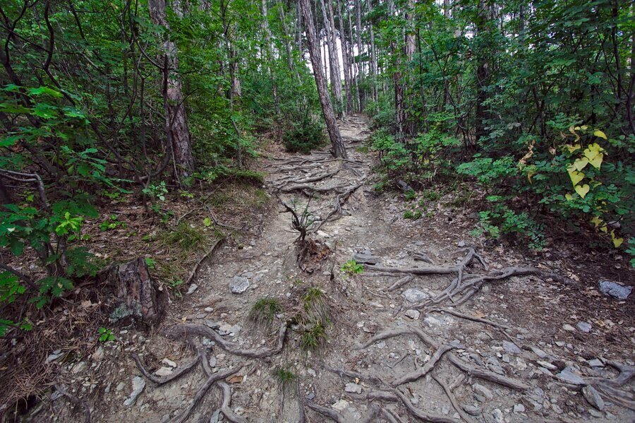 Маршрут "Хижа Васил Левски – Млечния чал - връх Ботев"