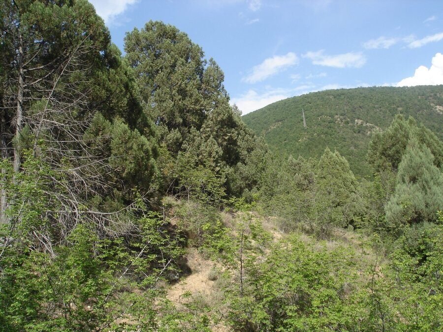 Природна забележителност "Моравска" - Кресна