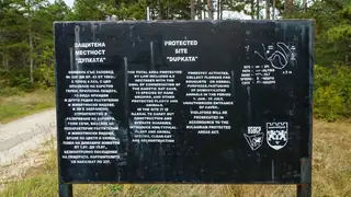 Защитена местност "Дупката"