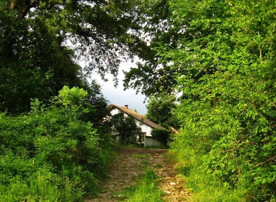 Защитена местност "Манастирското" - Къпиново