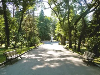 Градска градина - Попово