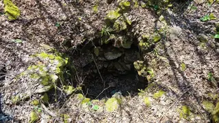 Крепост "Петрица" - Петрич