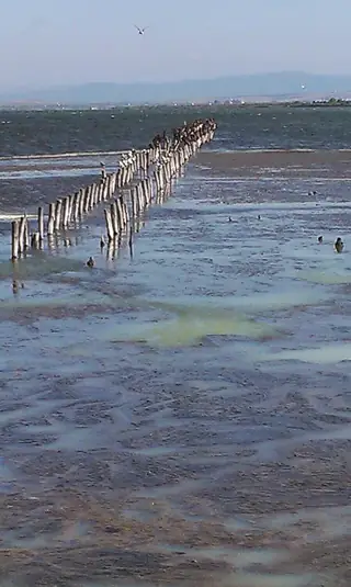 Музей на солта