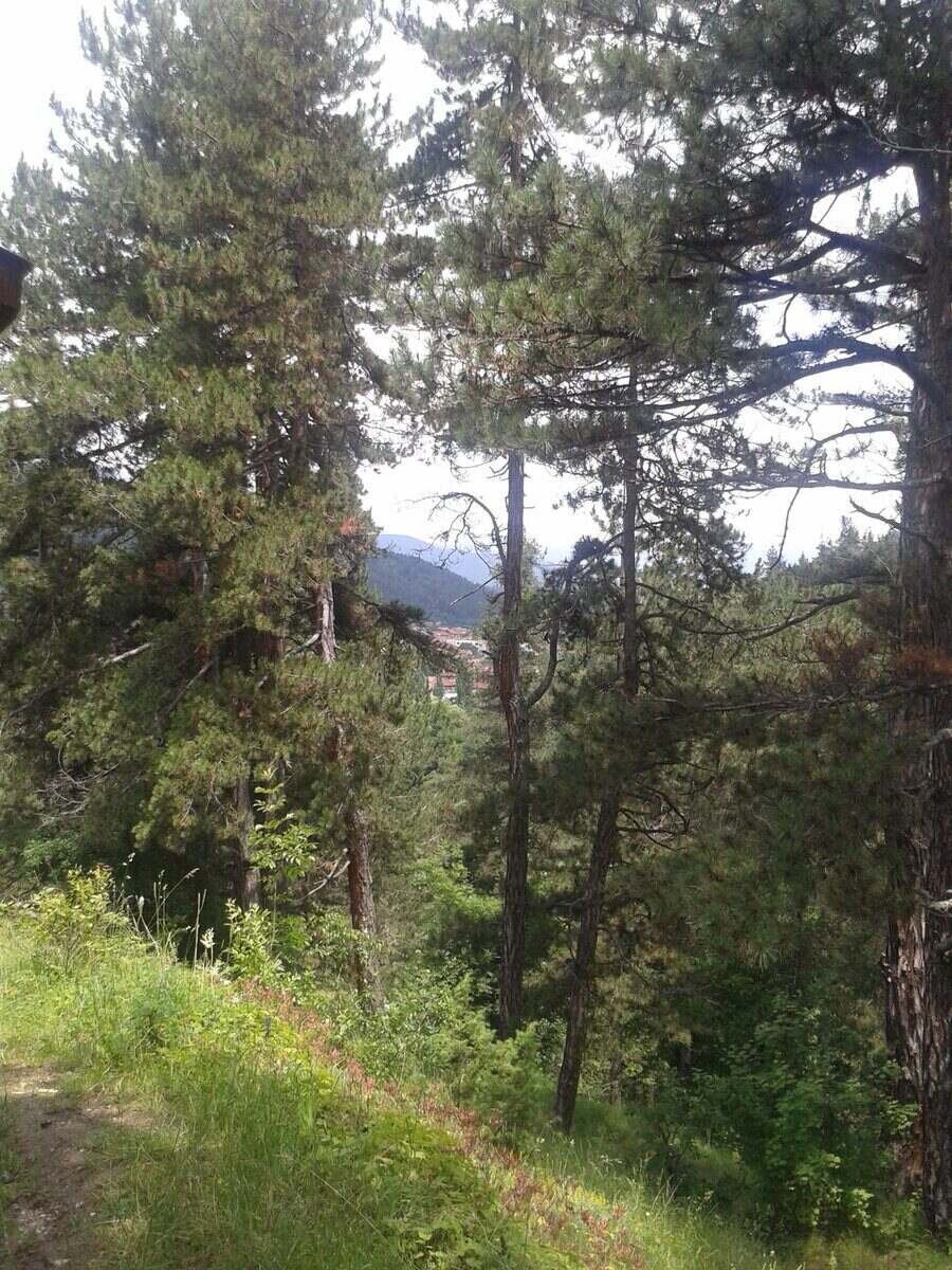 Параклис "Св. Илия" - Велинград