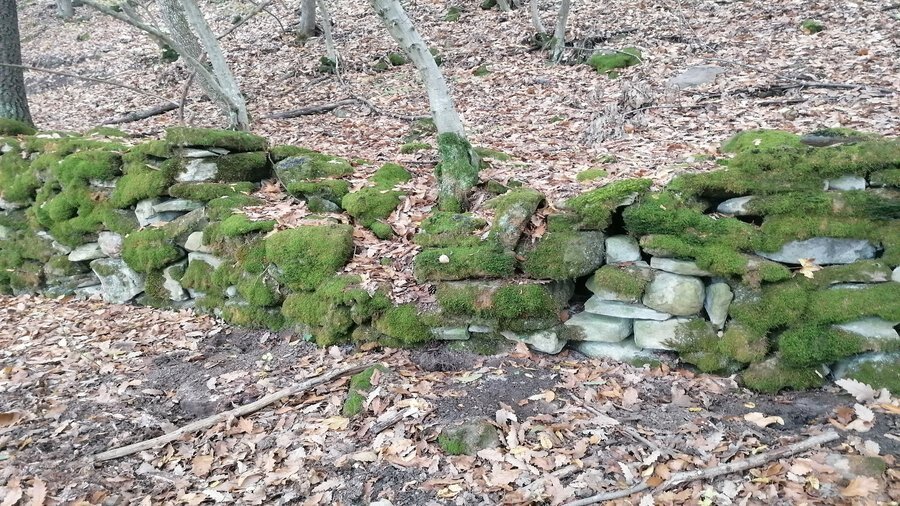 Средновековна крепост Калето - с.Зая