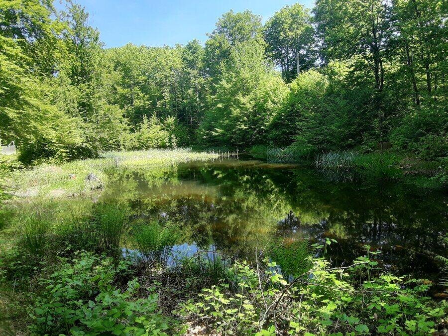 Езеро Мандрата