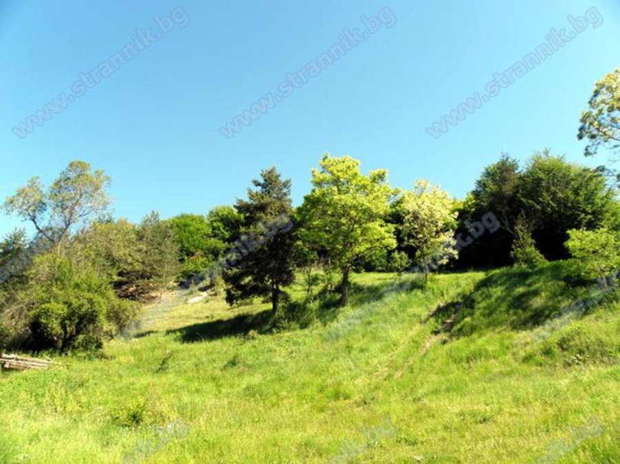 Крепост Алинско кале - Алино