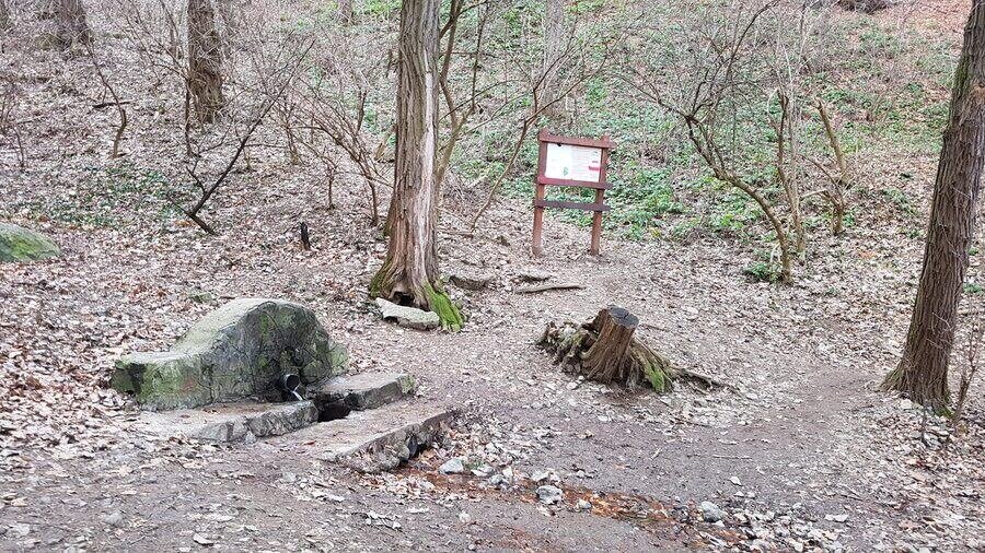 Извор с чешма Сребърната вода