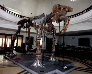 Музей по палеонтология и исторична геология - София