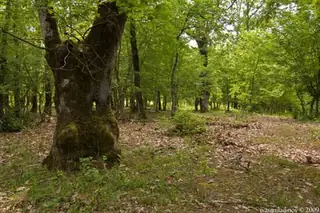 Защитена местност Парория - Калово