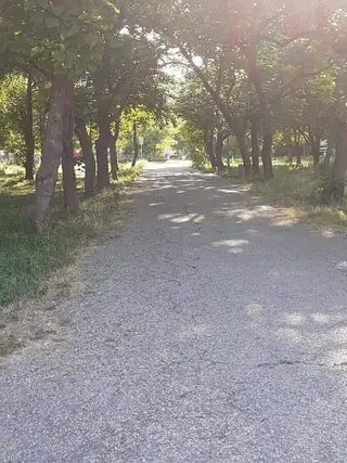 Парк Мартен