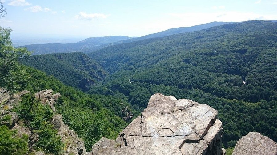 Вилна зона "Бряновщица"