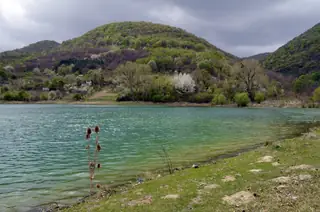 Природен резерват "Дервиша"