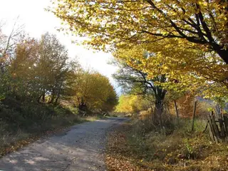 Гушовският манастир "Свети Архангел Михаил" - Чипровци