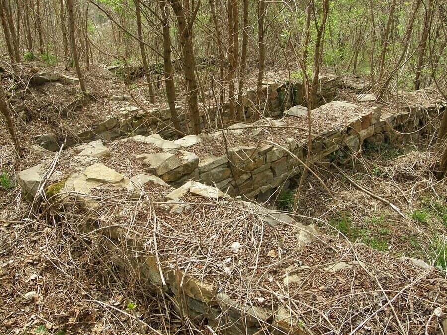 Крепост "Пречиста" - Градница