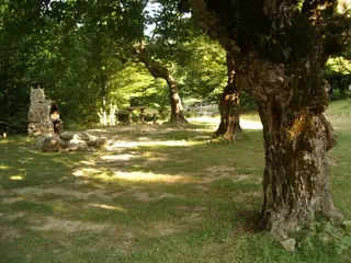 Място за отдих - Мийковци