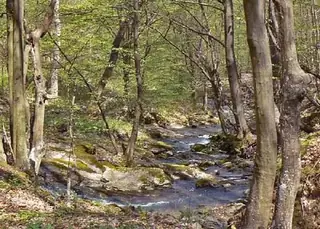 Екопътека Трявна - АИР "Боженци"