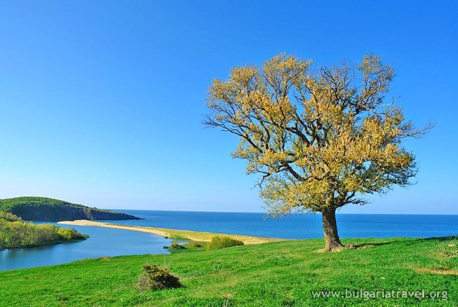 Защитена местност "Велека"