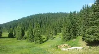 Роженски ливади - връх Рожен