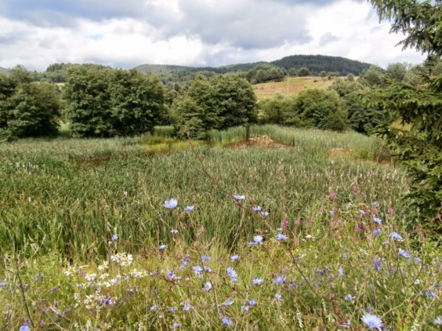 Защитената местност Караджа дере