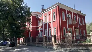 Видинска митрополия