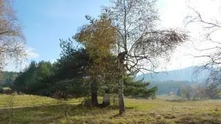 Партизански паметник яз.Батак