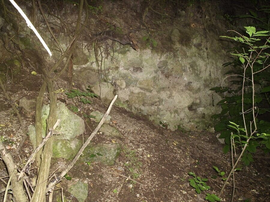 Археологически парк "Нигринианис Кандидиана"