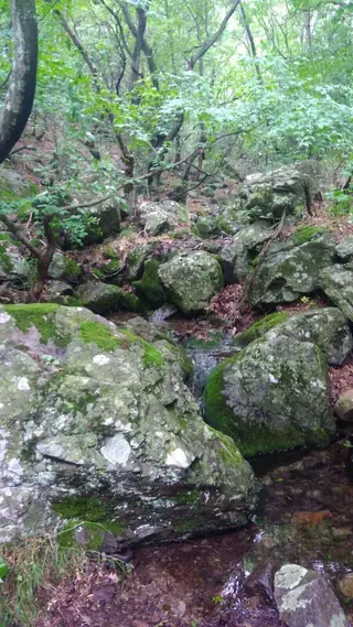 Местност "Тютюнлюка" - Сливен