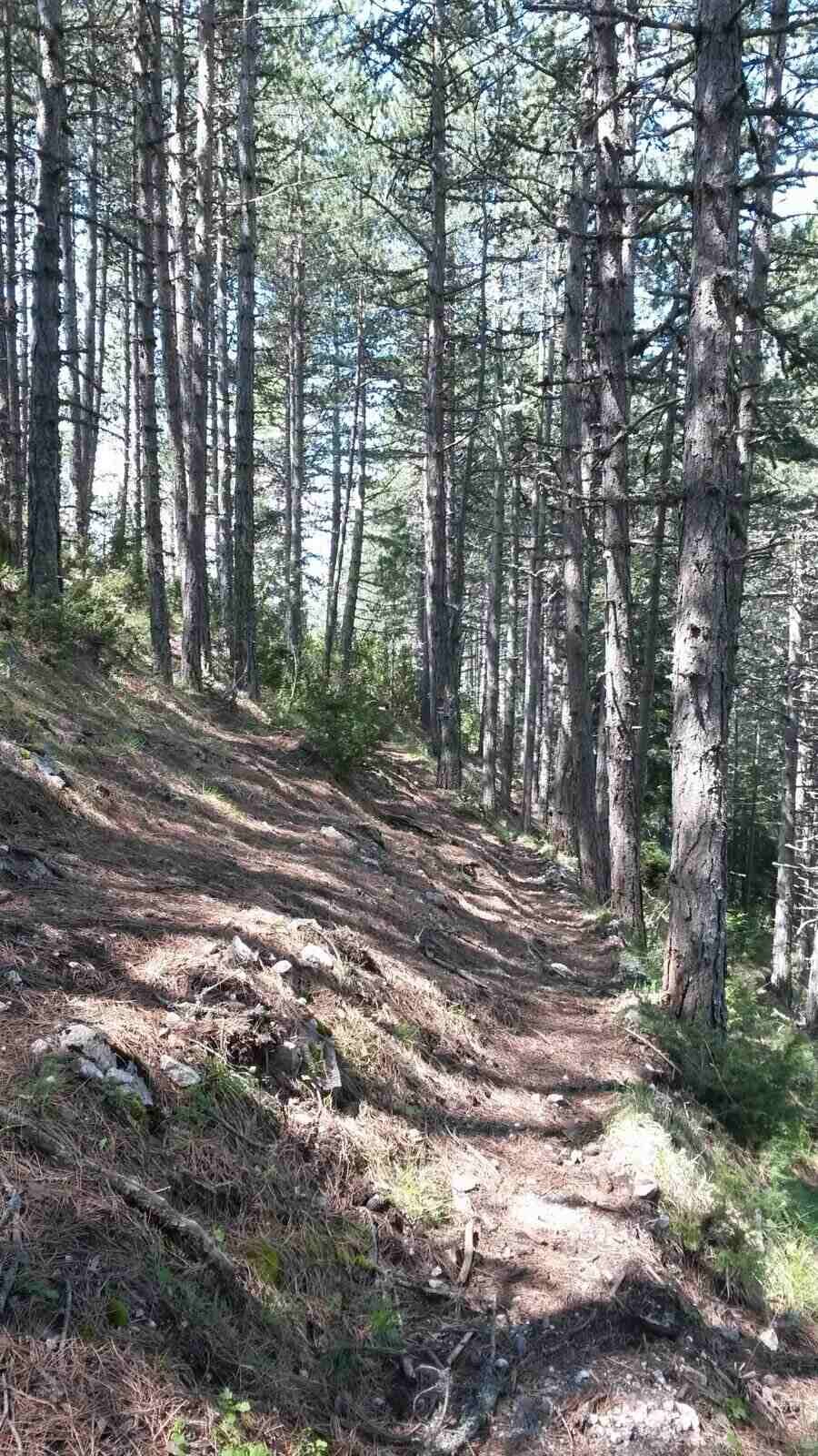 Маршрут Гьоврен - м. "Вълчи камък"