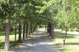 Парк с вековни чинари - Самуилова крепост