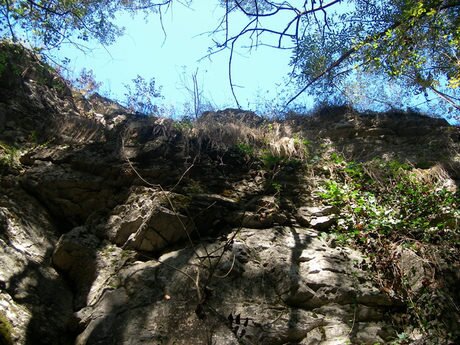 Местност "Ямата" - Гложене