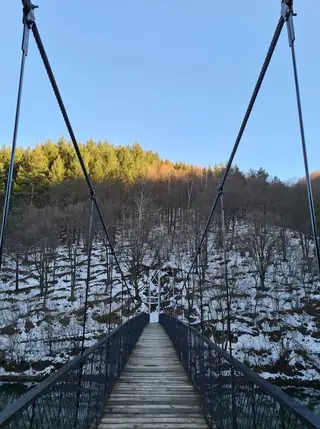 Въжен мост - яз. Пасарел