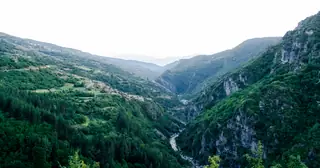 Поддържан резерват "Тъмна гора"