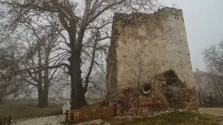 Средновековна кула и вековни чинари - Белащица