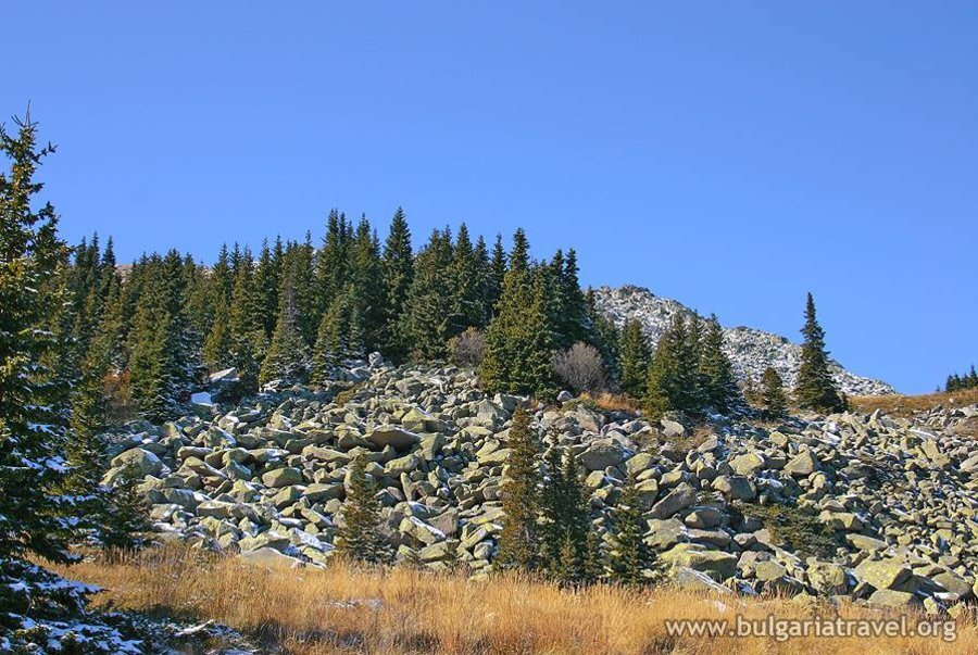Резерват "Бистришко бранище"