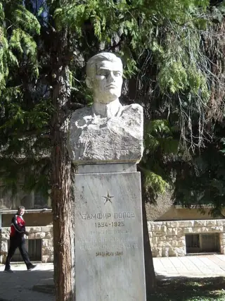 Паметник на Замфир Попов - Берковица