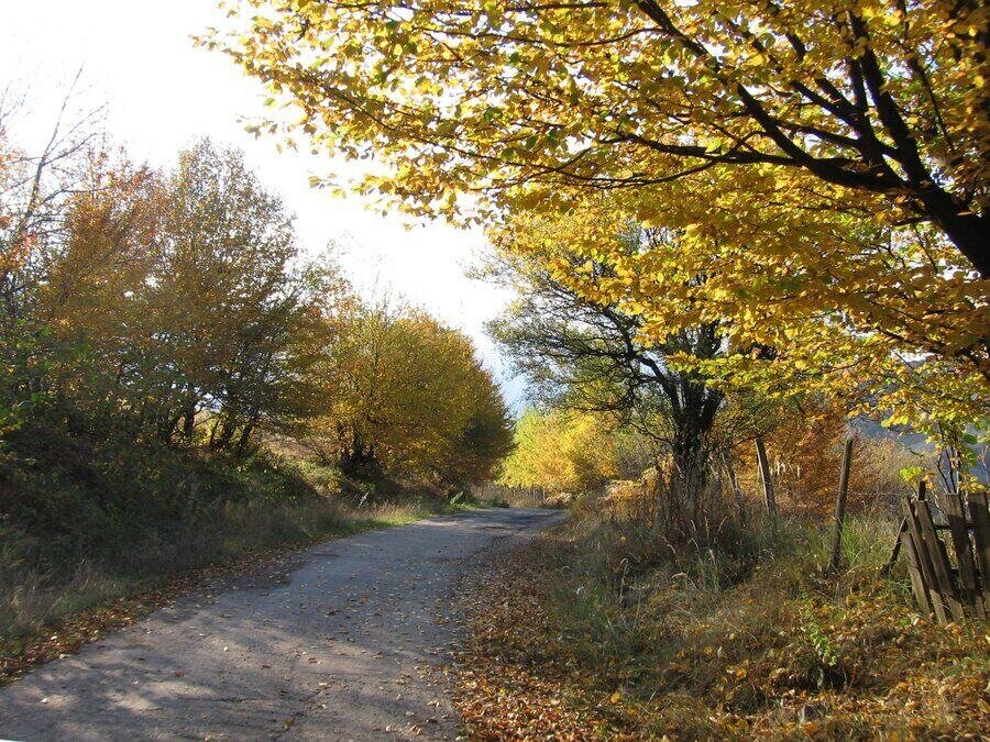 Гушовският манастир "Свети Архангел Михаил" - Чипровци