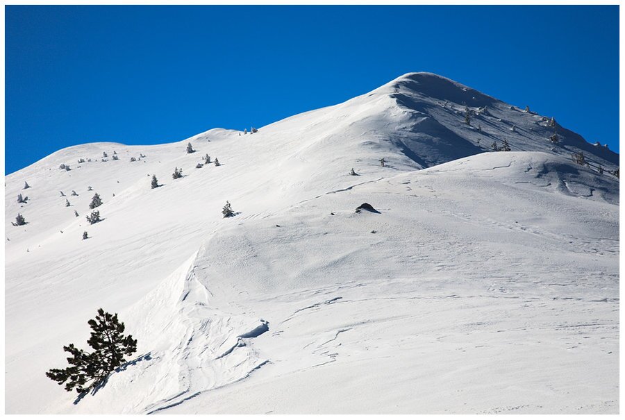 Връх Шабран